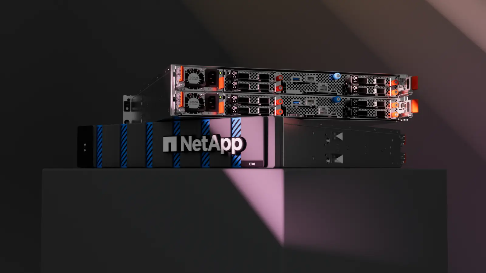 netapp model ef