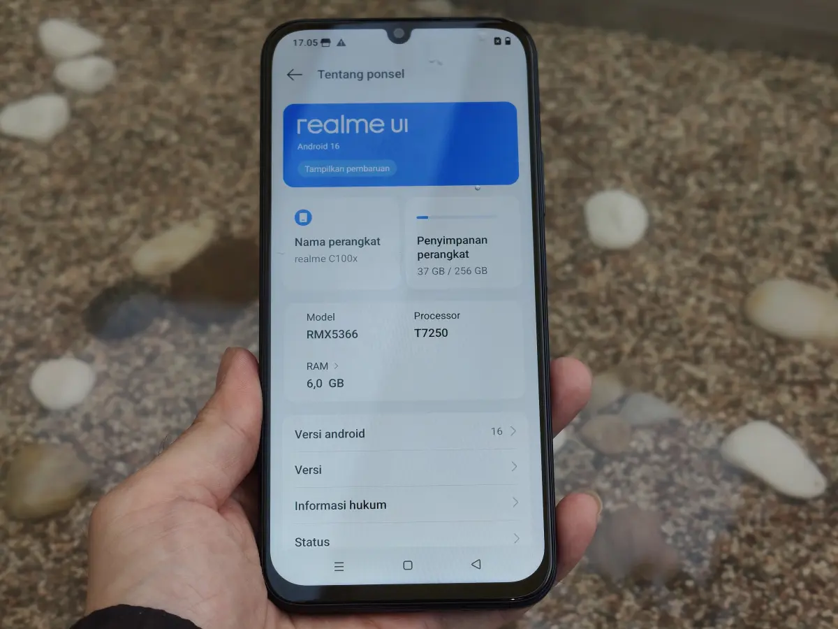 realme C100x 1